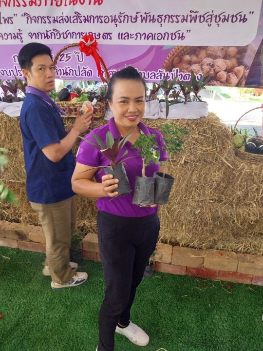 เทศบาลตำบลสันป่าตอง ได้ดำเนินการจัดกิจกรรมโครงการอนุรักษ์พันธุกรรมพืชอันเนื่องมาจากพระราชดำริฯ ภาพที่ 12 | https://www.sanpatong.go.th