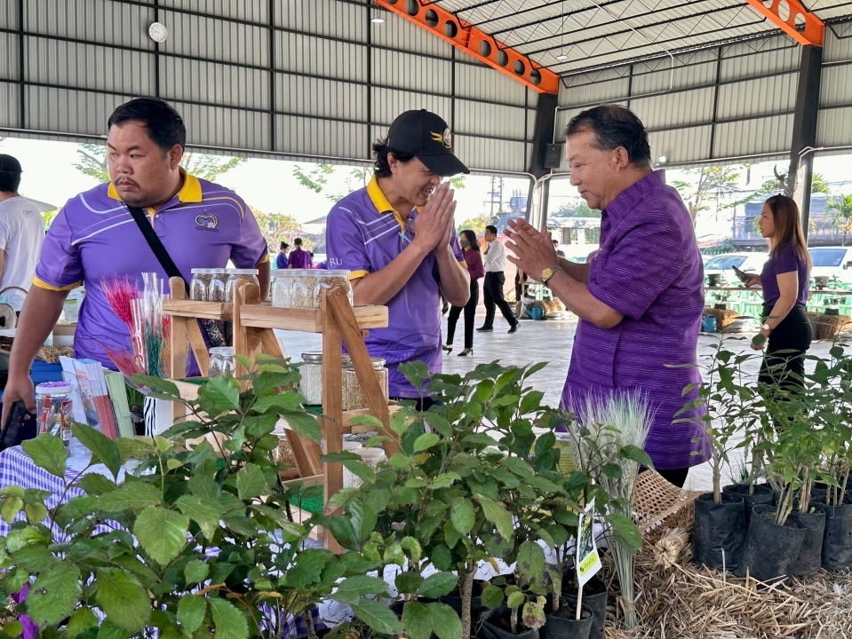 เทศบาลตำบลสันป่าตอง ได้ดำเนินการจัดกิจกรรมโครงการอนุรักษ์พันธุกรรมพืชอันเนื่องมาจากพระราชดำริฯ ภาพที่ 112 | https://www.sanpatong.go.th