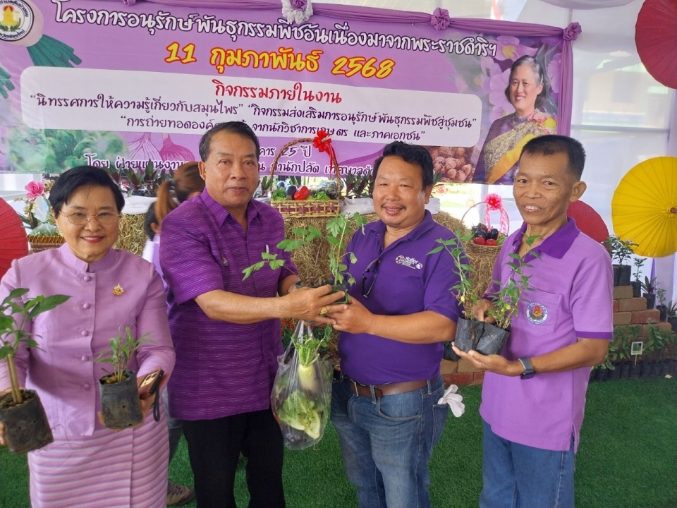เทศบาลตำบลสันป่าตอง ได้ดำเนินการจัดกิจกรรมโครงการอนุรักษ์พันธุกรรมพืชอันเนื่องมาจากพระราชดำริฯ ภาพที่ 15 | https://www.sanpatong.go.th