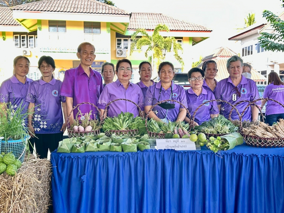 เทศบาลตำบลสันป่าตอง ได้ดำเนินการจัดกิจกรรมโครงการอนุรักษ์พันธุกรรมพืชอันเนื่องมาจากพระราชดำริฯ ภาพที่ 116 | https://www.sanpatong.go.th