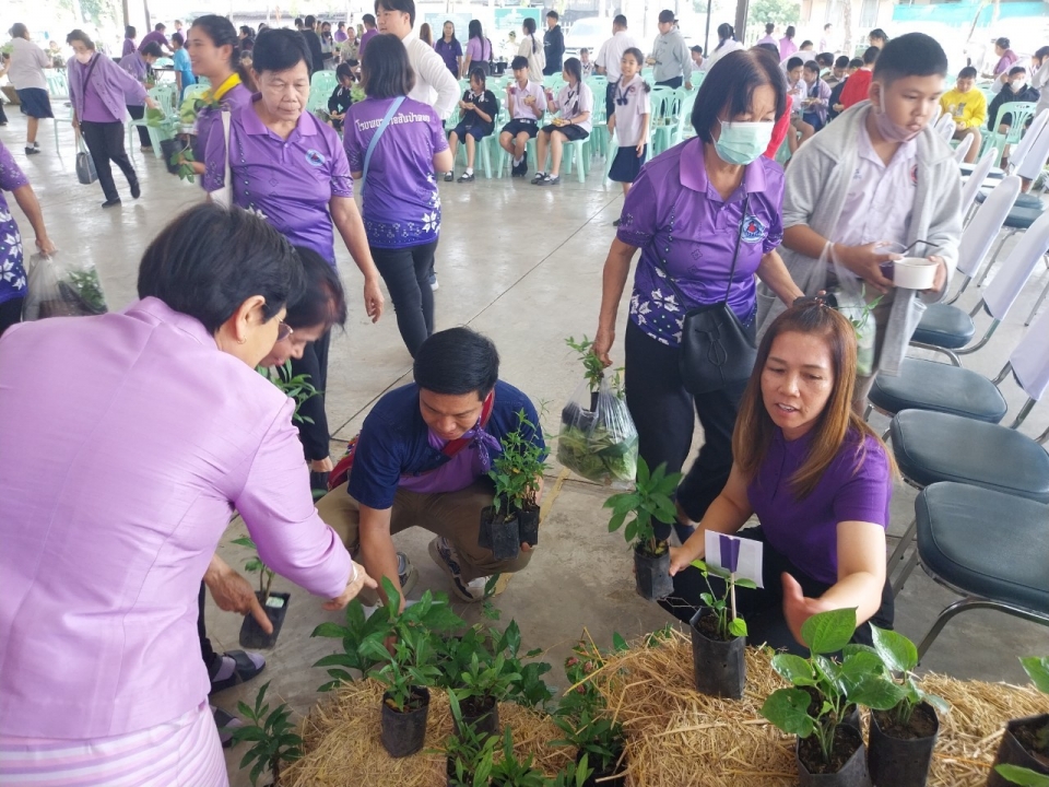 เทศบาลตำบลสันป่าตอง ได้ดำเนินการจัดกิจกรรมโครงการอนุรักษ์พันธุกรรมพืชอันเนื่องมาจากพระราชดำริฯ ภาพที่ 17 | https://www.sanpatong.go.th