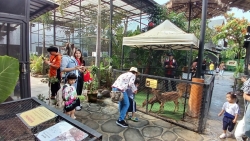 ศูนย์พัฒนาเด็กเล็ก เทศบาลตำบลสันป่าตอง ได้จัดโครงการเรียนรู้สู่โลกกว้างอนุบาลวัยใส (กิจกรรมทัศนศึกษาดูงาน เรียนรู้นอกสถานที่) ประจำปีงบประมาณ พ.ศ.2568 ภาพที่ 10 | https://www.sanpatong.go.th