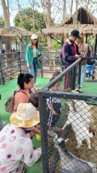 ศูนย์พัฒนาเด็กเล็ก เทศบาลตำบลสันป่าตอง ได้จัดโครงการเรียนรู้สู่โลกกว้างอนุบาลวัยใส (กิจกรรมทัศนศึกษาดูงาน เรียนรู้นอกสถานที่) ประจำปีงบประมาณ พ.ศ.2568 ภาพที่ 13 | https://www.sanpatong.go.th