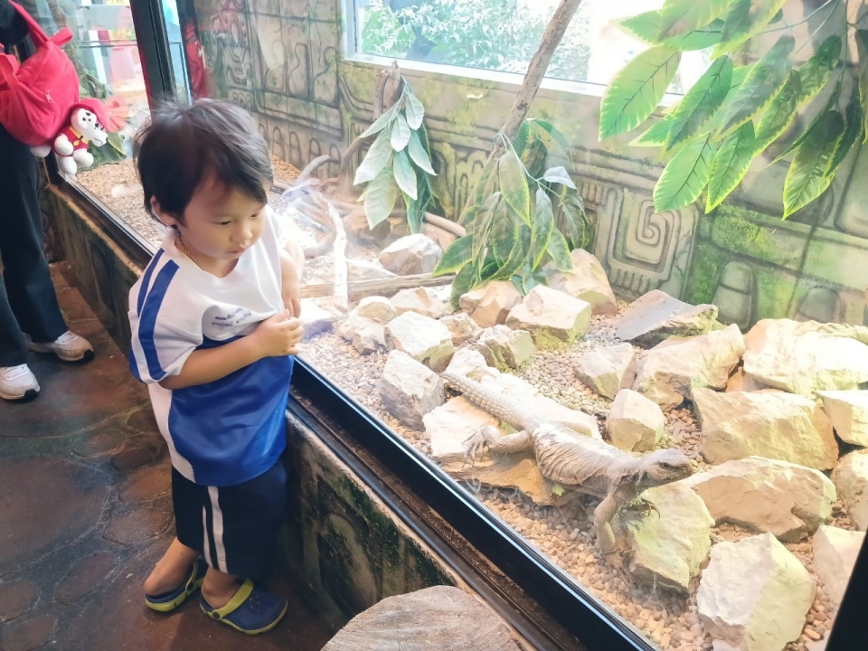 ศูนย์พัฒนาเด็กเล็ก เทศบาลตำบลสันป่าตอง ได้จัดโครงการเรียนรู้สู่โลกกว้างอนุบาลวัยใส (กิจกรรมทัศนศึกษาดูงาน เรียนรู้นอกสถานที่) ประจำปีงบประมาณ พ.ศ.2568 ภาพที่ 23 | https://www.sanpatong.go.th
