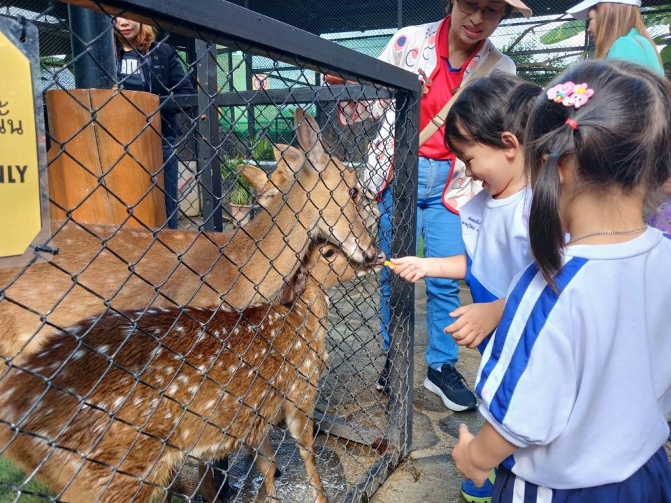 ศูนย์พัฒนาเด็กเล็ก เทศบาลตำบลสันป่าตอง ได้จัดโครงการเรียนรู้สู่โลกกว้างอนุบาลวัยใส (กิจกรรมทัศนศึกษาดูงาน เรียนรู้นอกสถานที่) ประจำปีงบประมาณ พ.ศ.2568 ภาพที่ 26 | https://www.sanpatong.go.th