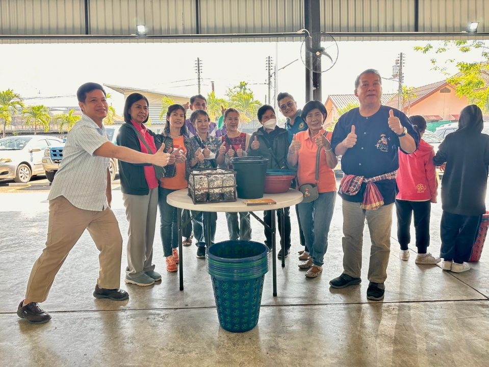 เทศบาลสันป่าตองได้จัดโครงการส่งเสริมอาชีพตามแนวทางเศรษฐกิจพอเพียง (เพาะเห็ดโคนน้อยในตะกร้า) ภาพที่ 10 | https://www.sanpatong.go.th