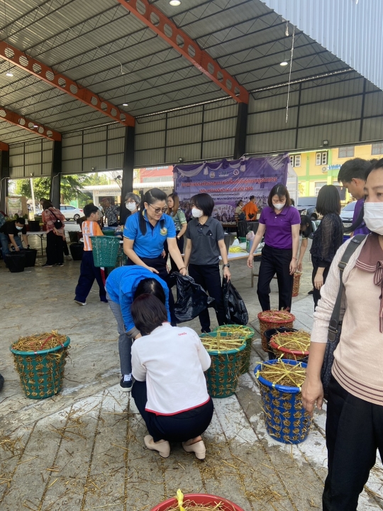 เทศบาลสันป่าตองได้จัดโครงการส่งเสริมอาชีพตามแนวทางเศรษฐกิจพอเพียง (เพาะเห็ดโคนน้อยในตะกร้า) ภาพที่ 25 | https://www.sanpatong.go.th
