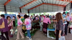 เทศบาลตำบลสันป่าตอง ร่วมกับ กองทุนเพื่อความเสมอภาคทางการศึกษา (กสศ.) จัดทำโครงการส่งเสริมการเรียนรู้และพัฒนาทักษะอาชีพของชุมชนเทศบาลตำบลสันป่าตองสู่การพัฒนาอย่างยั่งยืน ภาพที่ 13 | https://www.sanpatong.go.th
