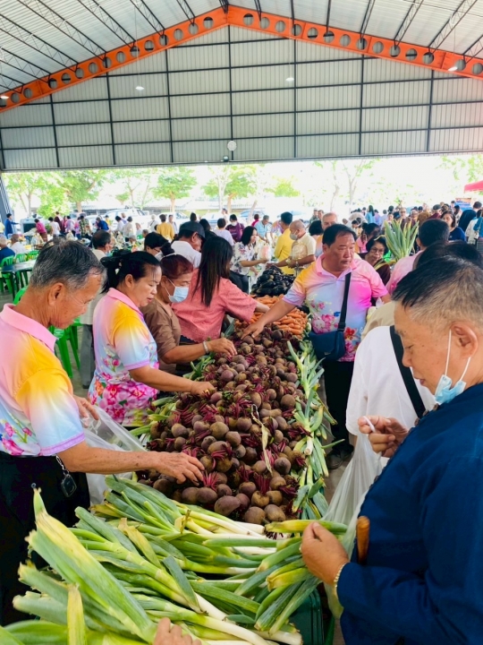 เทศบาลตำบลสันป่าตอง ร่วมกับ กองทุนเพื่อความเสมอภาคทางการศึกษา (กสศ.) จัดทำโครงการส่งเสริมการเรียนรู้และพัฒนาทักษะอาชีพของชุมชนเทศบาลตำบลสันป่าตองสู่การพัฒนาอย่างยั่งยืน ภาพที่ 15 | https://www.sanpatong.go.th