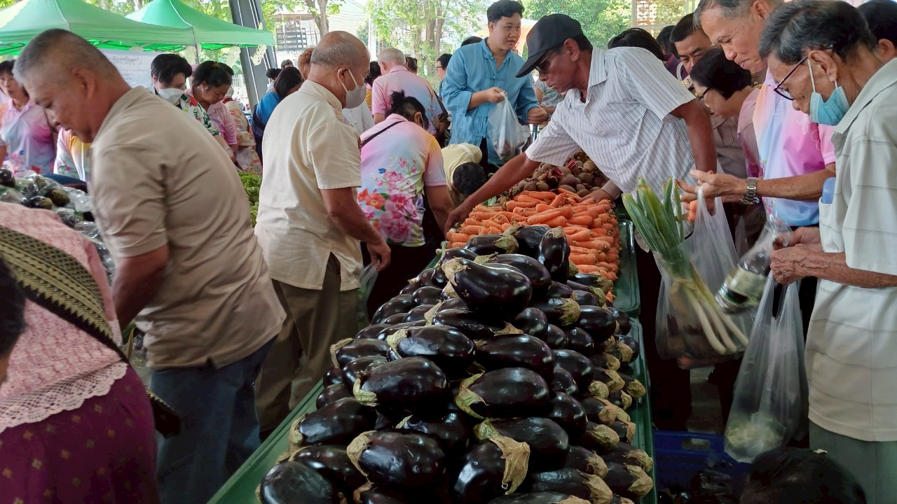 เทศบาลตำบลสันป่าตองจัดทำโครงการสืบสานประเพณี วัฒนธรรมล้านนา สระเกล้าดำหัวผู้สูงอายุ ประจำปีงบประมาณ พ.ศ.2568 ภาพที่ 7 | https://www.sanpatong.go.th
