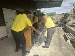 S__76275730_0.jpg - เทศบาลตำบลสันป่าตอง ลงพื้นที่มอบรถเข็น (Wheelchair) ในเขตพื้นที่เทศบาลตำบลสันป่าตอง | https://www.sanpatong.go.th