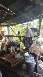 57878.jpg - ลงพื้นที่สำรวจและประมาณการการปรับปรุงซ่อมแซมบ้านคนพิการและผู้สูงอายุ  ชุมชนบ้านหย่อนสามัคคี  | https://www.sanpatong.go.th