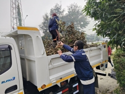 36899.jpg - กองช่าง เทศบาลตำบลสันป่าตองได้ร่วมกันดำเนินการตัดแต่งกิ่งไม้ บริเวณ ริมคลองชลประทาน | https://www.sanpatong.go.th