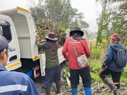 36900.jpg - กองช่าง เทศบาลตำบลสันป่าตองได้ร่วมกันดำเนินการตัดแต่งกิ่งไม้ บริเวณ ริมคลองชลประทาน | https://www.sanpatong.go.th