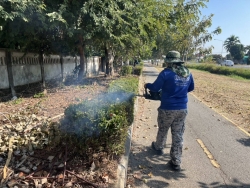 41532.jpg - กองช่าง เทศบาลตำบลสันป่าตอง ได้ดำเนินการตัดแต่งกิ่ง ต้นไม้ บริเวณสวนสาธารณะภายในเขตเทศบาลตำบลสันป่าตอง | https://www.sanpatong.go.th