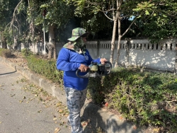 41533.jpg - กองช่าง เทศบาลตำบลสันป่าตอง ได้ดำเนินการตัดแต่งกิ่ง ต้นไม้ บริเวณสวนสาธารณะภายในเขตเทศบาลตำบลสันป่าตอง | https://www.sanpatong.go.th