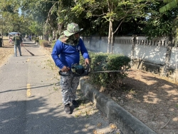 41534.jpg - กองช่าง เทศบาลตำบลสันป่าตอง ได้ดำเนินการตัดแต่งกิ่ง ต้นไม้ บริเวณสวนสาธารณะภายในเขตเทศบาลตำบลสันป่าตอง | https://www.sanpatong.go.th