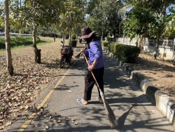 41535.jpg - กองช่าง เทศบาลตำบลสันป่าตอง ได้ดำเนินการตัดแต่งกิ่ง ต้นไม้ บริเวณสวนสาธารณะภายในเขตเทศบาลตำบลสันป่าตอง | https://www.sanpatong.go.th