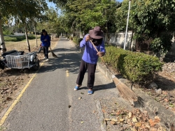 41537.jpg - กองช่าง เทศบาลตำบลสันป่าตอง ได้ดำเนินการตัดแต่งกิ่ง ต้นไม้ บริเวณสวนสาธารณะภายในเขตเทศบาลตำบลสันป่าตอง | https://www.sanpatong.go.th