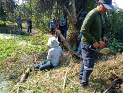 3.jpg - ตัดต้นไม้พื้นที่สาธารณะ ภายในเขตเทศบาลตำบลสันป่าตอง ตามคำร้องทั่วไป | https://www.sanpatong.go.th