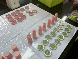 249620_0.jpg - โครงการส่งเสริมการเรียนรู้ตามอัธยาศัยให้กับประชาชนในเขตเทศบาลตำบลสันป่าตอง กิจกรรมการทำผลิตภัณฑ์คอสเมติค ลิปมันจากสารสกัดธรรมชาติ | https://www.sanpatong.go.th