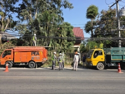 35099.jpg - การปรับปรุงภูมิทัศน์สายสื่อสารต้นไม้ เพื่อความปลอดภัยระหว่างเทศบาลตำบลสันป่าตอง กับ การไฟฟ้าส่วนภูมิภาคสันป่าตอง  | https://www.sanpatong.go.th