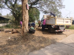 43803.jpg - เทศบาลตำบลสันป่าตอง ได้ร่วมกับกองช่าง ได้ดำเนินการทำความสะอาด เก็บกวาดใบไม้ บริเวณโรงฆ่าสัตว์ | https://www.sanpatong.go.th