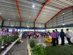 เทศบาลตำบลสันป่าตองได้ดำเนินการจัด โครงการอนุรักษ์พันธุกรรมพืชอันเนื่องมาจากพระราชดำริ สมเด็จพระกนิษฐาธิราชเจ้า กรมสมเด็จพระเทพรัตนราชสุดาฯ สยามบรมราชกุมารี ภาพที่ 46 | https://www.sanpatong.go.th