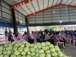 เทศบาลตำบลสันป่าตองได้ดำเนินการจัด โครงการอนุรักษ์พันธุกรรมพืชอันเนื่องมาจากพระราชดำริ สมเด็จพระกนิษฐาธิราชเจ้า กรมสมเด็จพระเทพรัตนราชสุดาฯ สยามบรมราชกุมารี ภาพที่ 55 | https://www.sanpatong.go.th