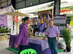 เทศบาลตำบลสันป่าตองได้ดำเนินการจัด โครงการอนุรักษ์พันธุกรรมพืชอันเนื่องมาจากพระราชดำริ สมเด็จพระกนิษฐาธิราชเจ้า กรมสมเด็จพระเทพรัตนราชสุดาฯ สยามบรมราชกุมารี ภาพที่ 73 | https://www.sanpatong.go.th