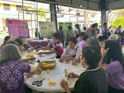 เทศบาลตำบลสันป่าตองได้ดำเนินการจัด โครงการอนุรักษ์พันธุกรรมพืชอันเนื่องมาจากพระราชดำริ สมเด็จพระกนิษฐาธิราชเจ้า กรมสมเด็จพระเทพรัตนราชสุดาฯ สยามบรมราชกุมารี ภาพที่ 19 | https://www.sanpatong.go.th