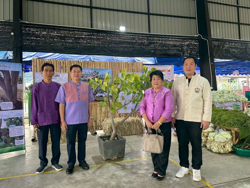 เทศบาลตำบลสันป่าตองได้ดำเนินการจัด โครงการอนุรักษ์พันธุกรรมพืชอันเนื่องมาจากพระราชดำริ สมเด็จพระกนิษฐาธิราชเจ้า กรมสมเด็จพระเทพรัตนราชสุดาฯ สยามบรมราชกุมารี ภาพที่ 60 | https://www.sanpatong.go.th