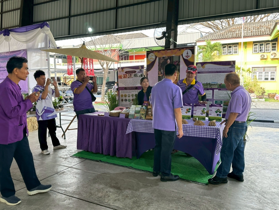 เทศบาลตำบลสันป่าตองได้ดำเนินการจัด โครงการอนุรักษ์พันธุกรรมพืชอันเนื่องมาจากพระราชดำริ สมเด็จพระกนิษฐาธิราชเจ้า กรมสมเด็จพระเทพรัตนราชสุดาฯ สยามบรมราชกุมารี ภาพที่ 74 | https://www.sanpatong.go.th