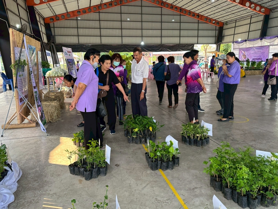 เทศบาลตำบลสันป่าตองได้ดำเนินการจัด โครงการอนุรักษ์พันธุกรรมพืชอันเนื่องมาจากพระราชดำริ สมเด็จพระกนิษฐาธิราชเจ้า กรมสมเด็จพระเทพรัตนราชสุดาฯ สยามบรมราชกุมารี ภาพที่ 23 | https://www.sanpatong.go.th