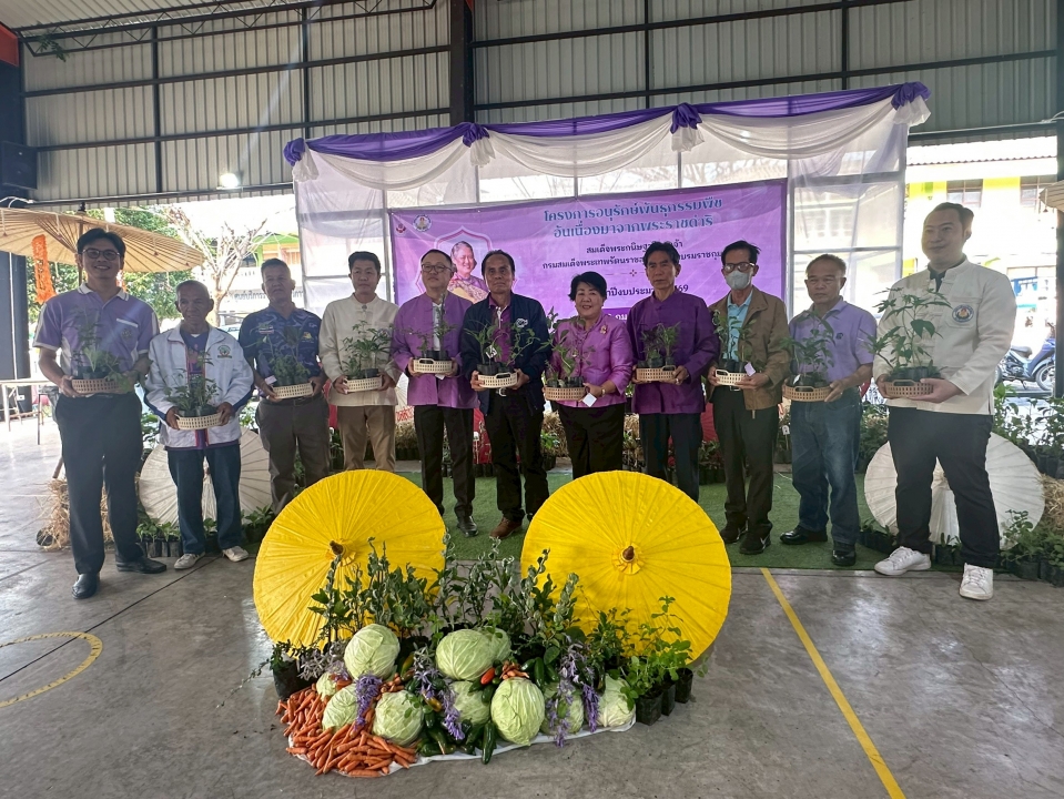 เทศบาลตำบลสันป่าตองได้ดำเนินการจัด โครงการอนุรักษ์พันธุกรรมพืชอันเนื่องมาจากพระราชดำริ สมเด็จพระกนิษฐาธิราชเจ้า กรมสมเด็จพระเทพรัตนราชสุดาฯ สยามบรมราชกุมารี ภาพที่ 33 | https://www.sanpatong.go.th