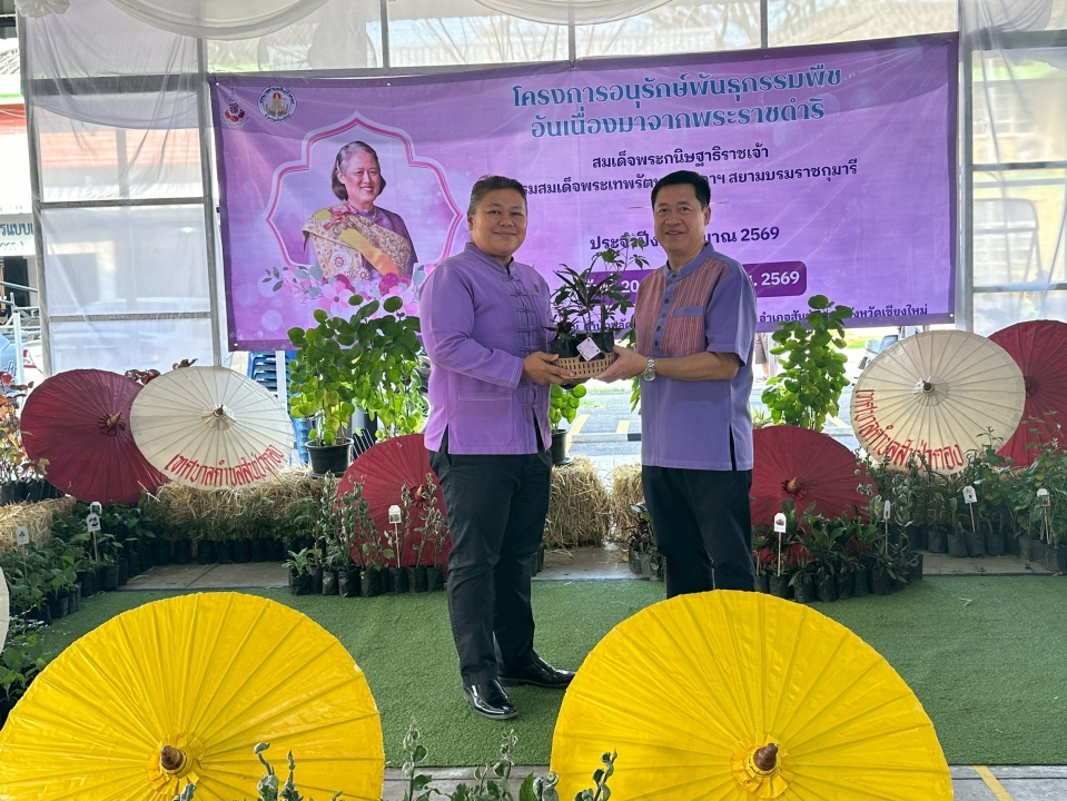 เทศบาลตำบลสันป่าตองได้ดำเนินการจัด โครงการอนุรักษ์พันธุกรรมพืชอันเนื่องมาจากพระราชดำริ สมเด็จพระกนิษฐาธิราชเจ้า กรมสมเด็จพระเทพรัตนราชสุดาฯ สยามบรมราชกุมารี ภาพที่ 38 | https://www.sanpatong.go.th