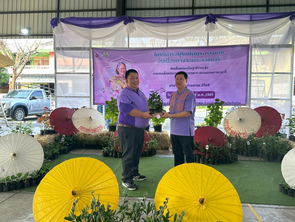 เทศบาลตำบลสันป่าตองได้ดำเนินการจัด โครงการอนุรักษ์พันธุกรรมพืชอันเนื่องมาจากพระราชดำริ สมเด็จพระกนิษฐาธิราชเจ้า กรมสมเด็จพระเทพรัตนราชสุดาฯ สยามบรมราชกุมารี ภาพที่ 41 | https://www.sanpatong.go.th