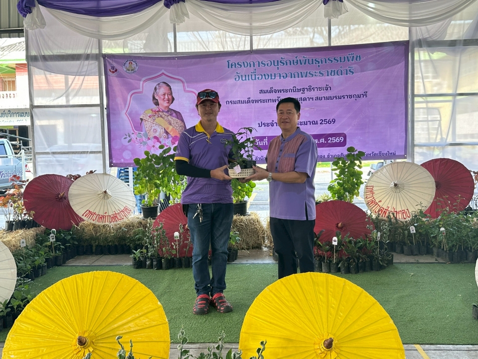 เทศบาลตำบลสันป่าตองได้ดำเนินการจัด โครงการอนุรักษ์พันธุกรรมพืชอันเนื่องมาจากพระราชดำริ สมเด็จพระกนิษฐาธิราชเจ้า กรมสมเด็จพระเทพรัตนราชสุดาฯ สยามบรมราชกุมารี ภาพที่ 42 | https://www.sanpatong.go.th