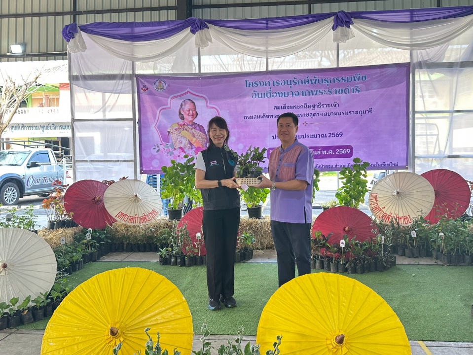 เทศบาลตำบลสันป่าตองได้ดำเนินการจัด โครงการอนุรักษ์พันธุกรรมพืชอันเนื่องมาจากพระราชดำริ สมเด็จพระกนิษฐาธิราชเจ้า กรมสมเด็จพระเทพรัตนราชสุดาฯ สยามบรมราชกุมารี ภาพที่ 43 | https://www.sanpatong.go.th