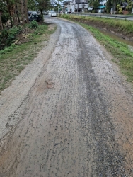 43144.jpg - เทศบาลตำบลสันป่าตองร่วมกับงานป้องกันและบรรเทาสาธารณภัยได้รับแจ้งจากประชาชนเรื่องฝุ่นถนน | https://www.sanpatong.go.th