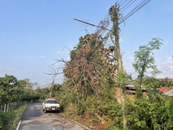 S__129343539.jpg - เทศบาลตำบลสันป่าตอง ร่วมกับงานป้องกันและบรรเทาสาธารรภัยได้ดำเนินการแก้ไขปัญหา กรณีต้นไม้หักพาดสายไฟ | https://www.sanpatong.go.th