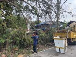 S__129343544.jpg - เทศบาลตำบลสันป่าตอง ร่วมกับงานป้องกันและบรรเทาสาธารรภัยได้ดำเนินการแก้ไขปัญหา กรณีต้นไม้หักพาดสายไฟ | https://www.sanpatong.go.th