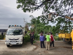 46710.jpg - เทศบาลตำบลสันป่าตองร่วมกับกองช่าง ได้ดำเนินการตัดแต่งกิ่งไม้ และทำความสะอาดพื้นที่ บริเวณกาดสลีบัวตอง | https://www.sanpatong.go.th