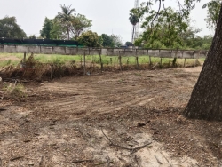 46711.jpg - เทศบาลตำบลสันป่าตองร่วมกับกองช่าง ได้ดำเนินการตัดแต่งกิ่งไม้ และทำความสะอาดพื้นที่ บริเวณกาดสลีบัวตอง | https://www.sanpatong.go.th