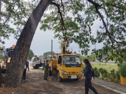 46712.jpg - เทศบาลตำบลสันป่าตองร่วมกับกองช่าง ได้ดำเนินการตัดแต่งกิ่งไม้ และทำความสะอาดพื้นที่ บริเวณกาดสลีบัวตอง | https://www.sanpatong.go.th