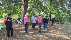 78643.jpg - เทศบาลตำบลสันป่าตองได้เข้าร่วมประชุมประชาคมเพื่อทบทวนแผนพัฒนาท้องถิ่น พ.ศ 2566 - 2570 ระดับหมู่บ้าน บ้านต้นผึ้ง | https://www.sanpatong.go.th