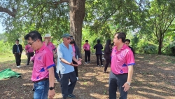 78644.jpg - เทศบาลตำบลสันป่าตองได้เข้าร่วมประชุมประชาคมเพื่อทบทวนแผนพัฒนาท้องถิ่น พ.ศ 2566 - 2570 ระดับหมู่บ้าน บ้านต้นผึ้ง | https://www.sanpatong.go.th