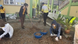 S__19046466.jpg - เทศบาล​ต​ำ​บล​สันป่าตอง ได้จัดกิจกรรมวันท้องถิ่นไทย ประจำปี 2569   | https://www.sanpatong.go.th