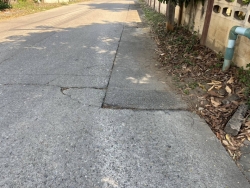 48185.jpg - เทศบาลตำบลสันป่าตองร่วมกับกองช่าง ได้ดำเนินการซ่อมแซมถนน บริเวณซอยข้างร้านจิตรช่าง หมู่ 1ต.ยุหว่า  | https://www.sanpatong.go.th