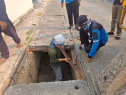 49484.jpg - เทศบาลตำบลสันป่าตอง ร่วมกับกองช่าง ได้ดำเนินการซ่อมแซมฝารางระบายน้ำ บริเวณซอยจิตรช่าง | https://www.sanpatong.go.th